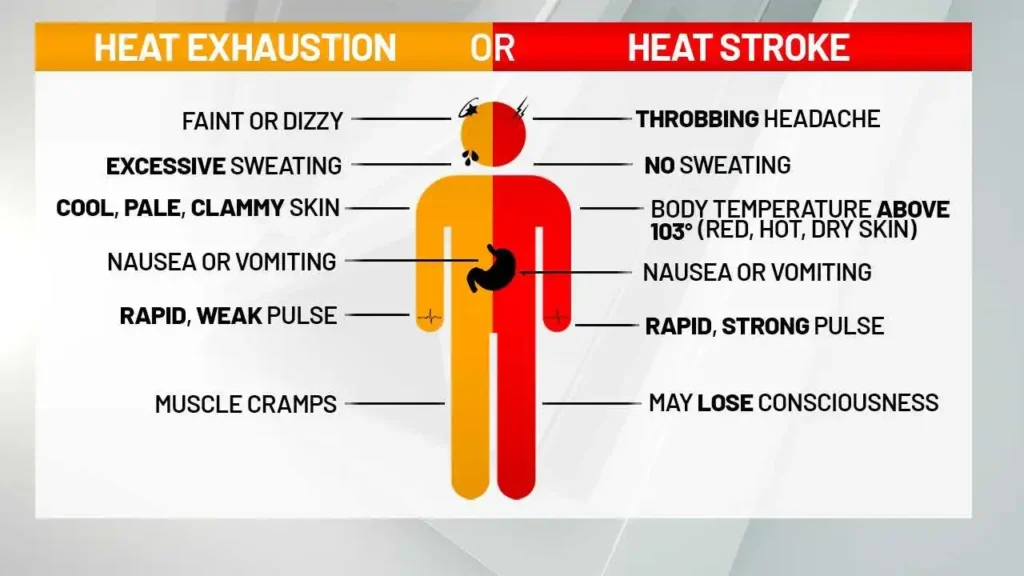 Heat Stroke vs. Heat Exhaustion thumbnail